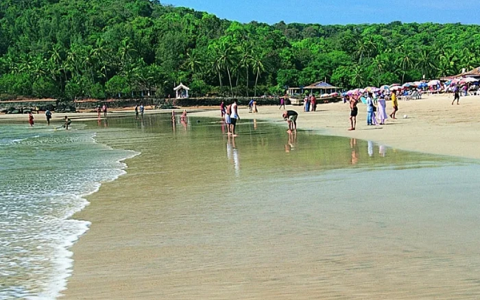 goa
