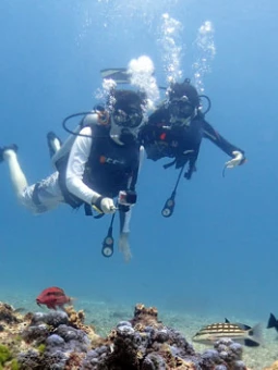 Goa Grand Island Tour Package