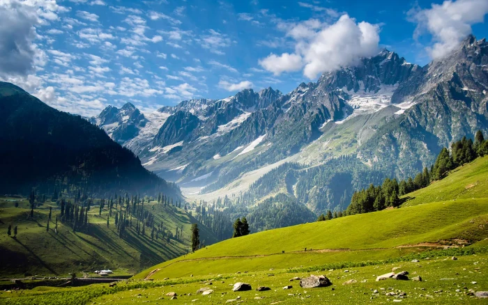Kashmir