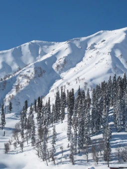 Srinagar Gulmarg Tour Package