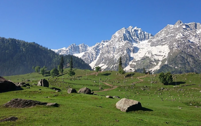 Kashmir