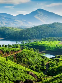 Munnar Tour Package