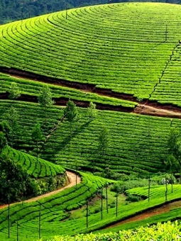 Kanyakumari Rameshwaram Tour Package