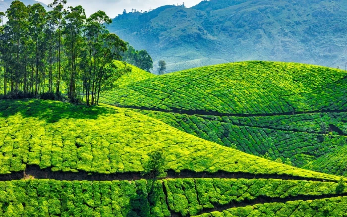 Kerala