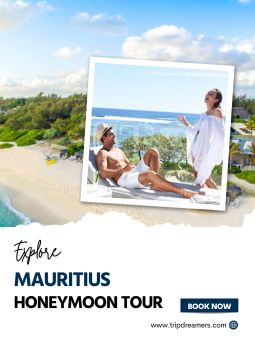 Mauritius Honeymoon Package With Catamaran Cruise