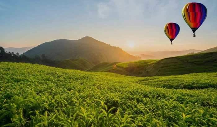 Sri Lanka