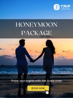 Romantic Sri Lanka Honeymoon Package