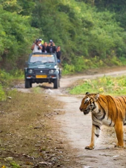 Jim Corbett Holiday Package